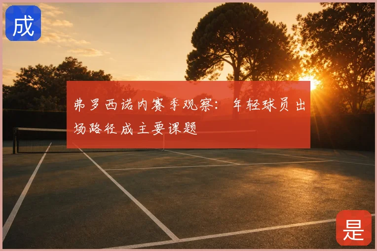 弗罗西诺内赛季观察：年轻球员出场路径成主要课题